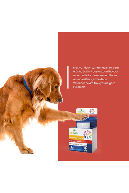 Zoovital Multivital Plus Kedi ve Köpekler için Multivitamin