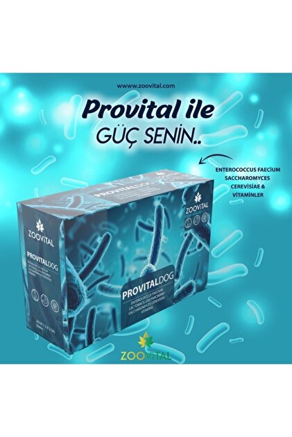 Zoovital Provital Köpek Prebiyotik Desteği 12 Adet- Sindirim