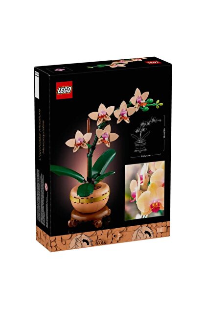 LEGO Botanicals Mini Orkide 10343 - Yetişkinler için Dekoratif