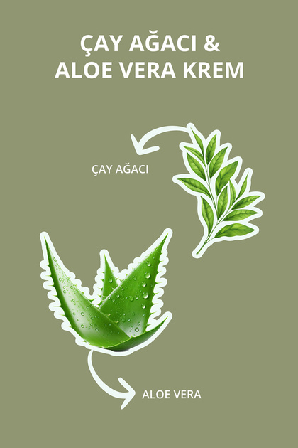 Destek ay Aac Ve Aloe Vera Bakm Kremi 140 ml - Fiyat, Yorumlar