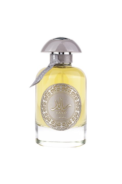 Raed Silver, eau de parfum 100 ml, men