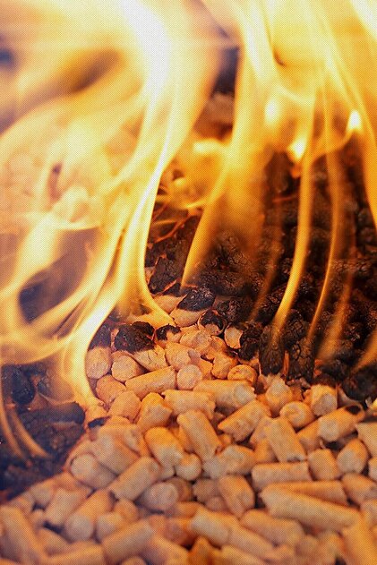 homeneeds A1 Kalite Çam Pelet 10Kg Ekonomik Külsüz Yeni Nesil