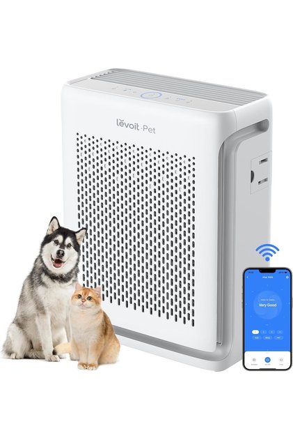 Smart HEPA Air Purifier Vital 100S (Covers 52 m², H13 HEPA, Pet Mode, 23 dB)