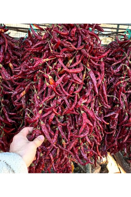 Bilecik (Çukurören) Acı Cin Biberi Kurutulmuş(150 Yıllık Ata Tohumundan)20 x 3 Dizi (60 Adet)
