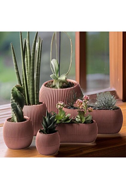 Omnipazar KRS Mercan Dekoratif Sukulent Kakts Plastik Saks Takm 6'l  Set Pembe - Fiyat, Yorumlar
