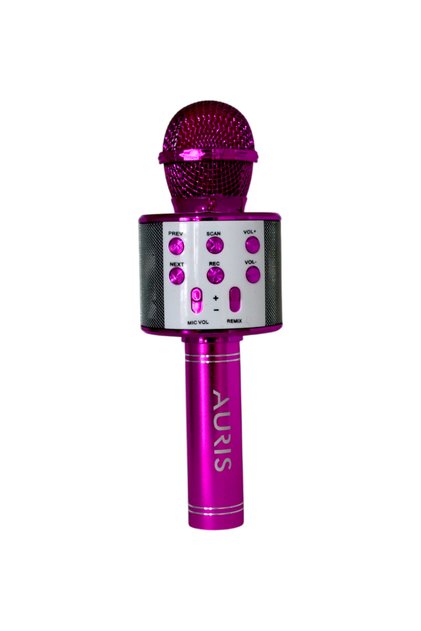 Kareoke Mikrofon