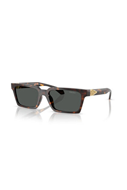 Versace VE 4464 545887 55 Unisex Güneş Gözlüğü - Fiyatı, Yorumları