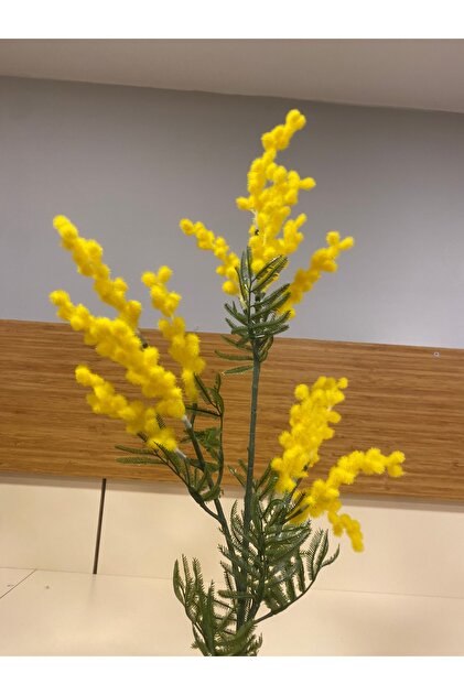 置物 mimosa PLUS HOME YAPAY ÇİÇEK MİMOZA SARI - Fiyatı, Yorumları