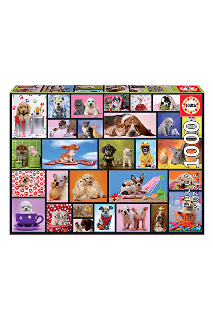 EDUCA Puzzle 1000 Parça Shared Moment 15518 - Fiyatı, Yorumları