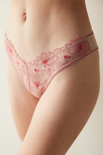 Broidery V Model Çok Renkli Brazilian Külot