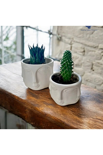 pelikan sanat 2 Li Havelka Buddha Suratlı Beyaz Boyalı Dekoratif