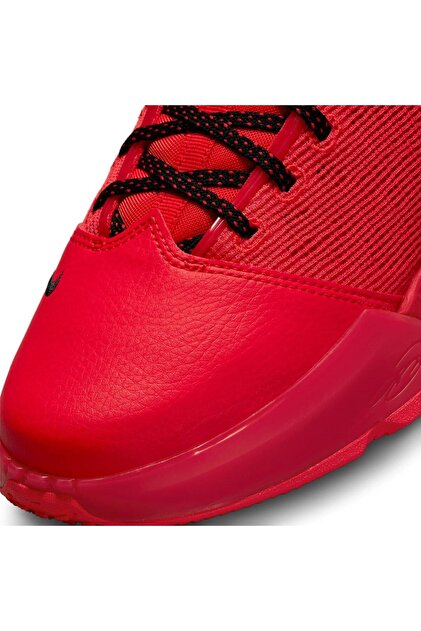 Nike Lebron Xıx 19 Unisex Basketball Shoes Erkek Basketbol