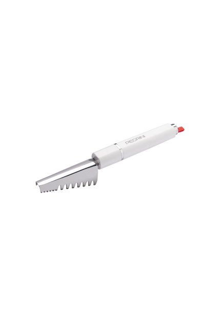 FISH SCALER,S.STEEL
