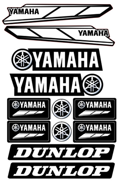 Limitless Design KAWASAKİ ZX-RR STİCKER SETİ A4 MOTORSİKLET KASK