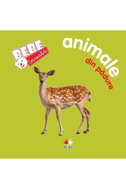 Animale din padure. Bebe invata