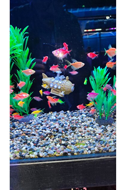 BİRRDESİGN Akvaryum Denizaltı Dekoru - Fiyatı, Yorumları