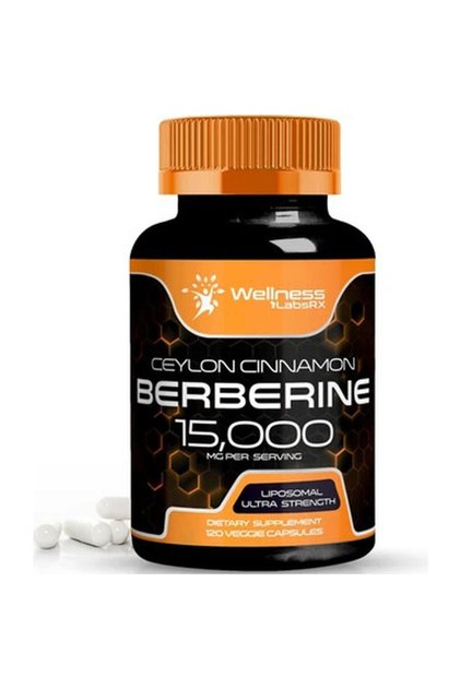 WellneesLabs Liposomal Berberine + Ceylon Cinnamon+Turmeric + Ginseng + Ginkgo biloba 15,000mg – 120