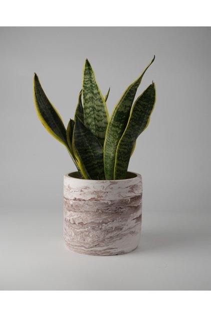 Dekoratif Beton Saksı - Orta Boy Silindir - 13x15CM - 2 Litre