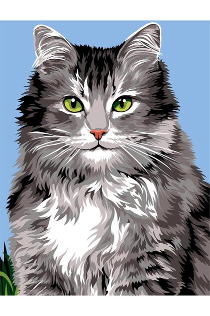 Tapestry 50X65Cm- Ankara Cat