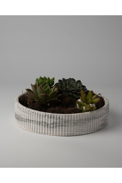 Dekoratif Beton Çizgili Kase - Sukulent - Mini Kaktüs - Bonsai - Aranjman Kasesi - Büyük/Küçük
