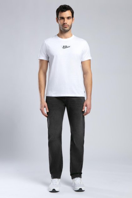 Harry Men's Straight Regular Cut Normal Waist Straight Leg Jeans Gray