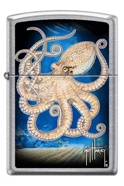 Zippo Çakmak Z-46729 - Fiyatı, Yorumları