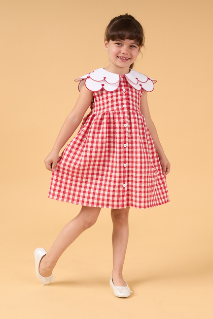 Girl's Gingham Pattern Collar Embroidered Summer Dress