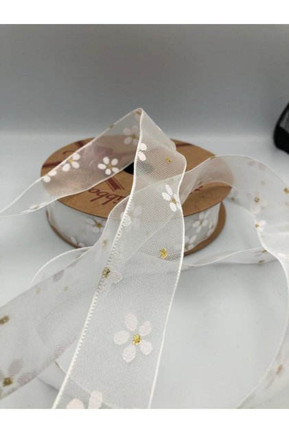 Organized Ribbon Decorative Patterned 10 Meters 25 mm