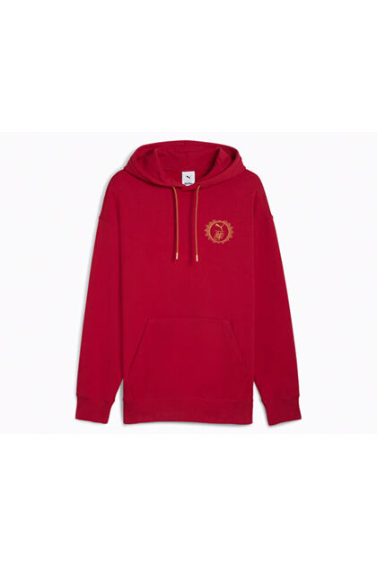 Puma Puma X Harry Potter Hoodie Unisex Günlük Sweatshirts 63009313