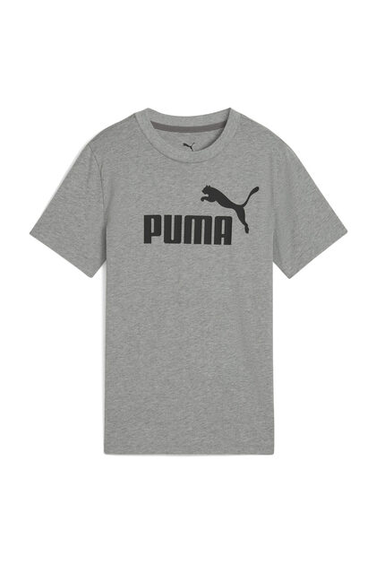 Tees, Regular, Shortsleeve, Crew Neck, Regular, Logo Print