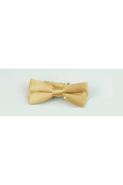 Papion din satin de culoare uni pentru băiat auriu - CP-51