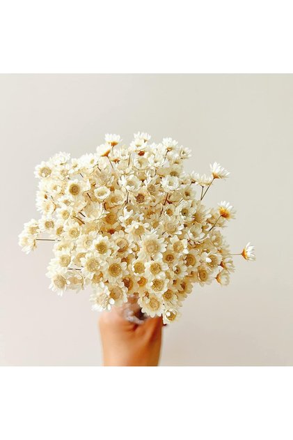 200 Pcs Natural Dried Brazilian Small Star Daisy Flowers,25cm Mini Chamomile Bouquet for Home Decor and DIY Crafts