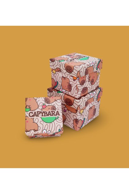Capybara Desenli 3'lü Hediye, Kutusu Seti | Mini Kutu Seti