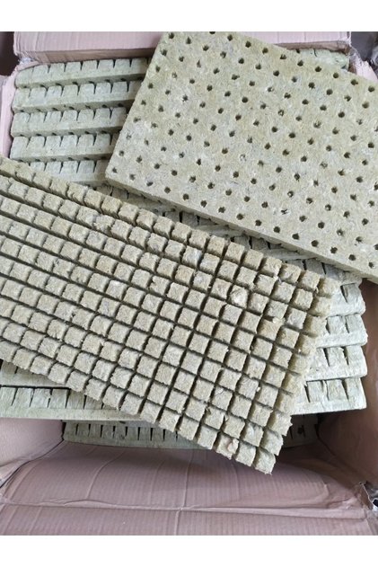 Hidroponik Tükiye Topraksız Tarım Kaya Yünü Fideleme Tohum Çimlendirme 25 Adet