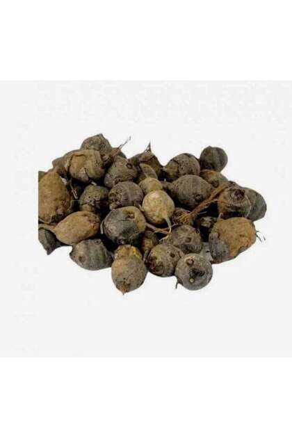 Saad plant herb 250 grams