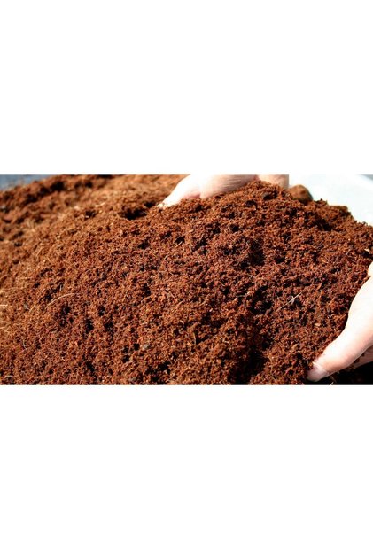 5 Lt Cocopeat Torf Hindistan Cevizi Kabuğu Torfu