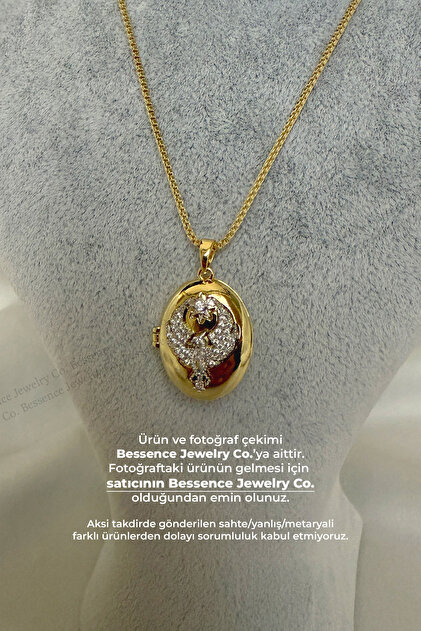 Bessence Far City Steel Alya Necklace Phoenix - Openable, Zircon Stone- Stainless Steel