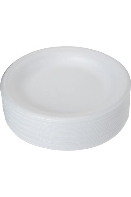 Disposable Foam Plate 25-Pieces Set, 10-Inch Size