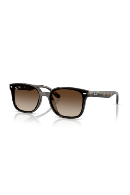 【美品】Ray-Ban RB4461D 710/13 サングラス Ray-Ban RB4461D 710/13 64-17-145 Erkek Güneş Gözlüğü - Fiyatı