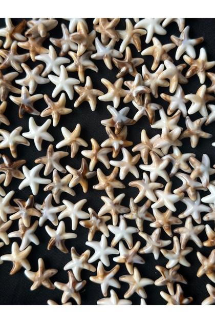 50 Adet Deniz Yıldızı Krem Kahverengi Akrilik Plastik Boncuk