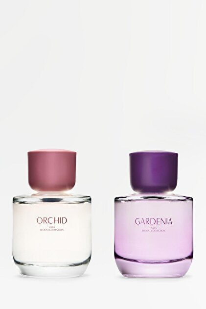 Zara Gardenıa Edp 90 ml Orchıd Edp 90 ml - Fiyatı, Yorumları