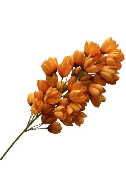 Tropical Delonix Wall Wedding Artificial Flowers Spring Orange