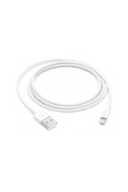 USB to Lightning 1 Meter USB Cable