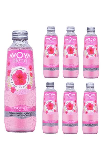 Blend 6'lı Hibiskus Meyveli Maden Suyu 250 ml