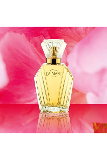 Coty Coty L'Aimant EDT 50 ml Kadın Parfüm - Fiyatı, Yorumları