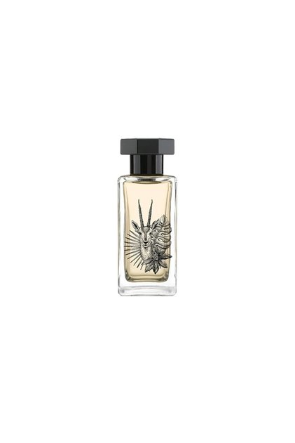 Des Minimes Saiga Perfume × Le Couvent Eau de Parfum 100 مل
