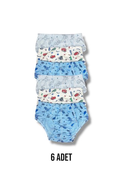 Mixed Patterned Boy's Printed Panties Pack of 6