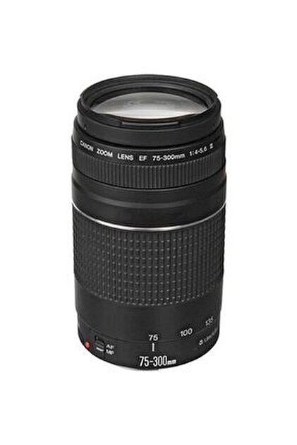 Canon EF-S 55-250mm IS STM LENS (İTHALATCI GARANTİLİ) - Fiyatı
