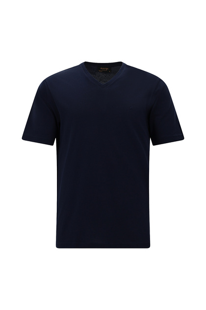 V-Neck Regular Fit Embroidered T-Shirt, Pack of Cotton