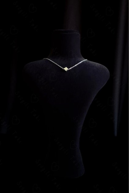 Clover Charm Steel Necklace | Honey Series